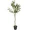 59" Green Plastic Olive Artificial Tree With Black Melamine Pot